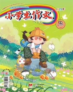 小學(xué)生作文·小學(xué)低年級適用