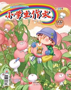 小学生作文·小学低年级适用