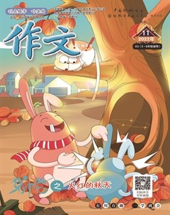作文·小学5-6年级