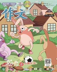 作文·小学5-6年级