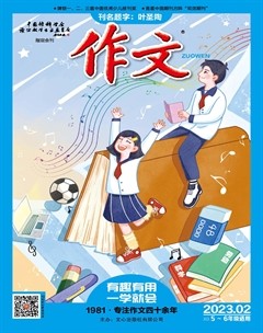 作文·小学5-6年级