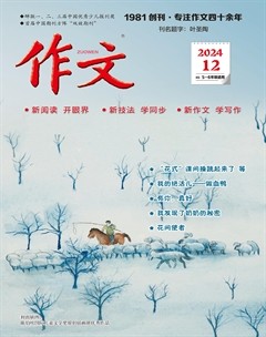 作文·小学5-6年级