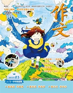 作文·小学5-6年级