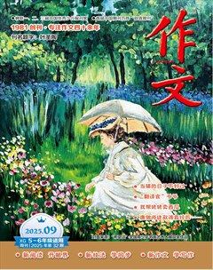 作文·小学5-6年级