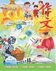 作文·小学5-6年级