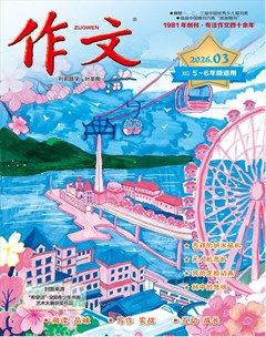 作文·小学5-6年级