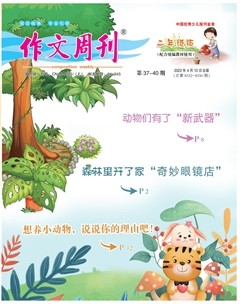 作文周刊·小學二年級版