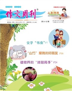 作文周刊·小学二年级版