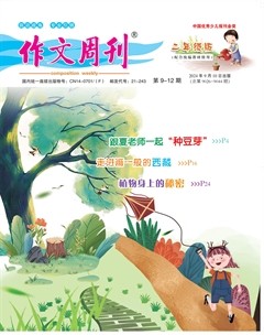作文周刊·小学二年级版