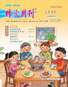 作文周刊·二年级版