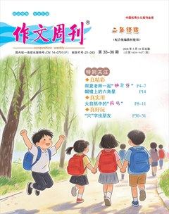 作文周刊·二年级版