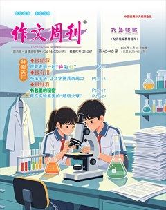 作文周刊·六年级版