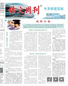 作文周刊·七年级读写版