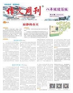 作文周刊·八年级读写版