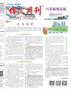 作文周刊·八年级读写版