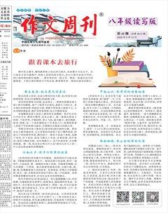 作文周刊·八年级读写版