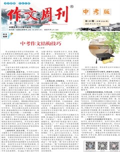 作文周刊·中考版