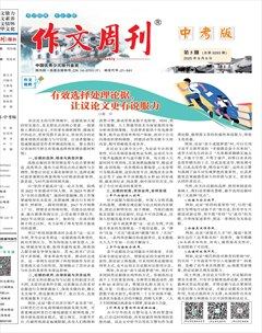 作文周刊·中考版