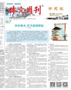 作文周刊·中考版