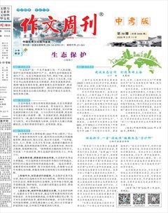 作文周刊·中考版