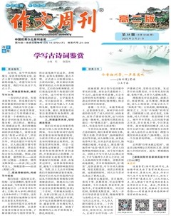 作文周刊·高二版