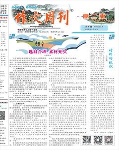 作文周刊·高二版