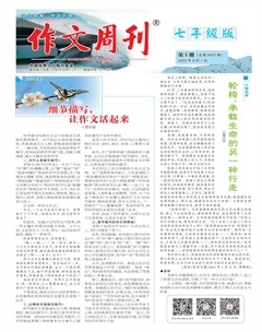 作文周刊·七年级版