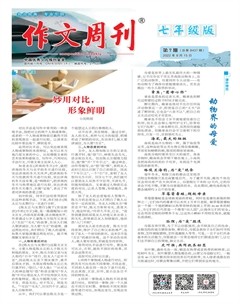 作文周刊·七年级版