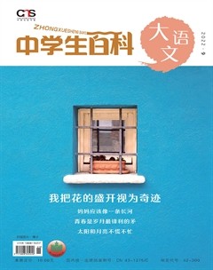 中学生百科·大语文