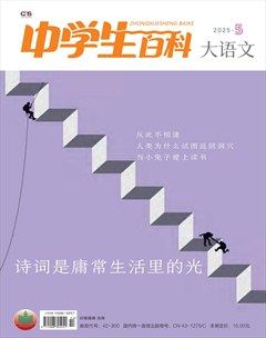 中学生百科·大语文