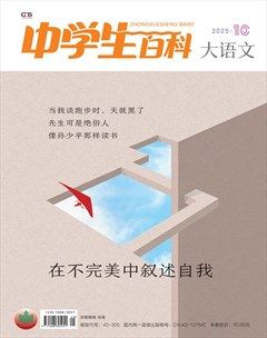 中学生百科·大语文