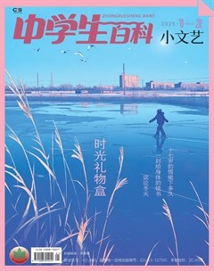中学生百科·小文艺