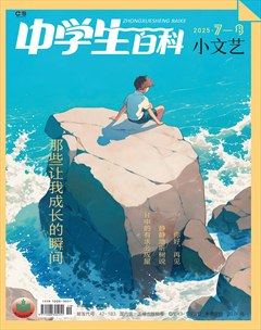 中学生百科·小文艺
