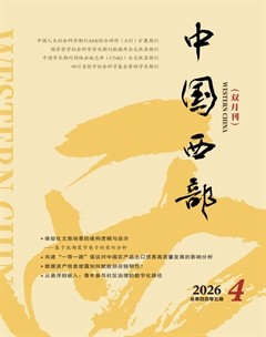 中国西部