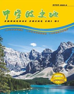 中学政史地·教学指导版