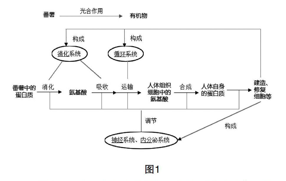 zxlk20210410-1-l.jpg