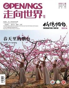 走向世界