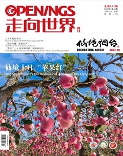 走向世界