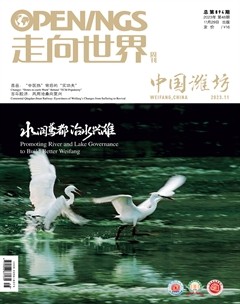 走向世界