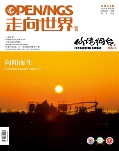 走向世界
