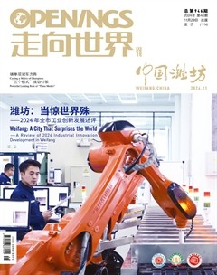 走向世界