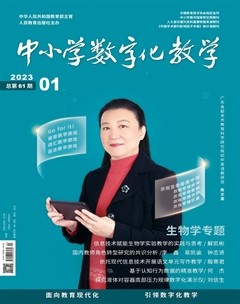中小学数字化教学