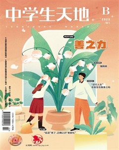 中学生天地(B版)