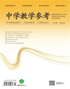 中学教学参考(文科版)