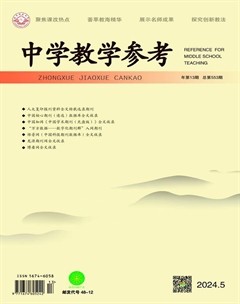 中学教学参考(文科版)