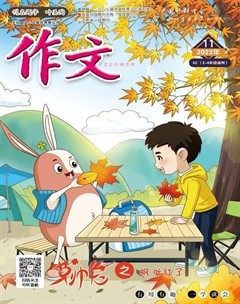 作文·小學(xué)2-4年級(jí)