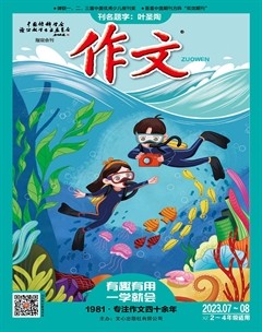 作文·小学2-4年级