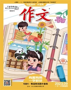 作文·小学2-4年级