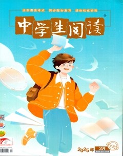 中学生阅读·初中·中考