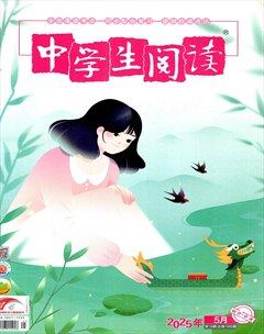 中学生阅读·初中·中考